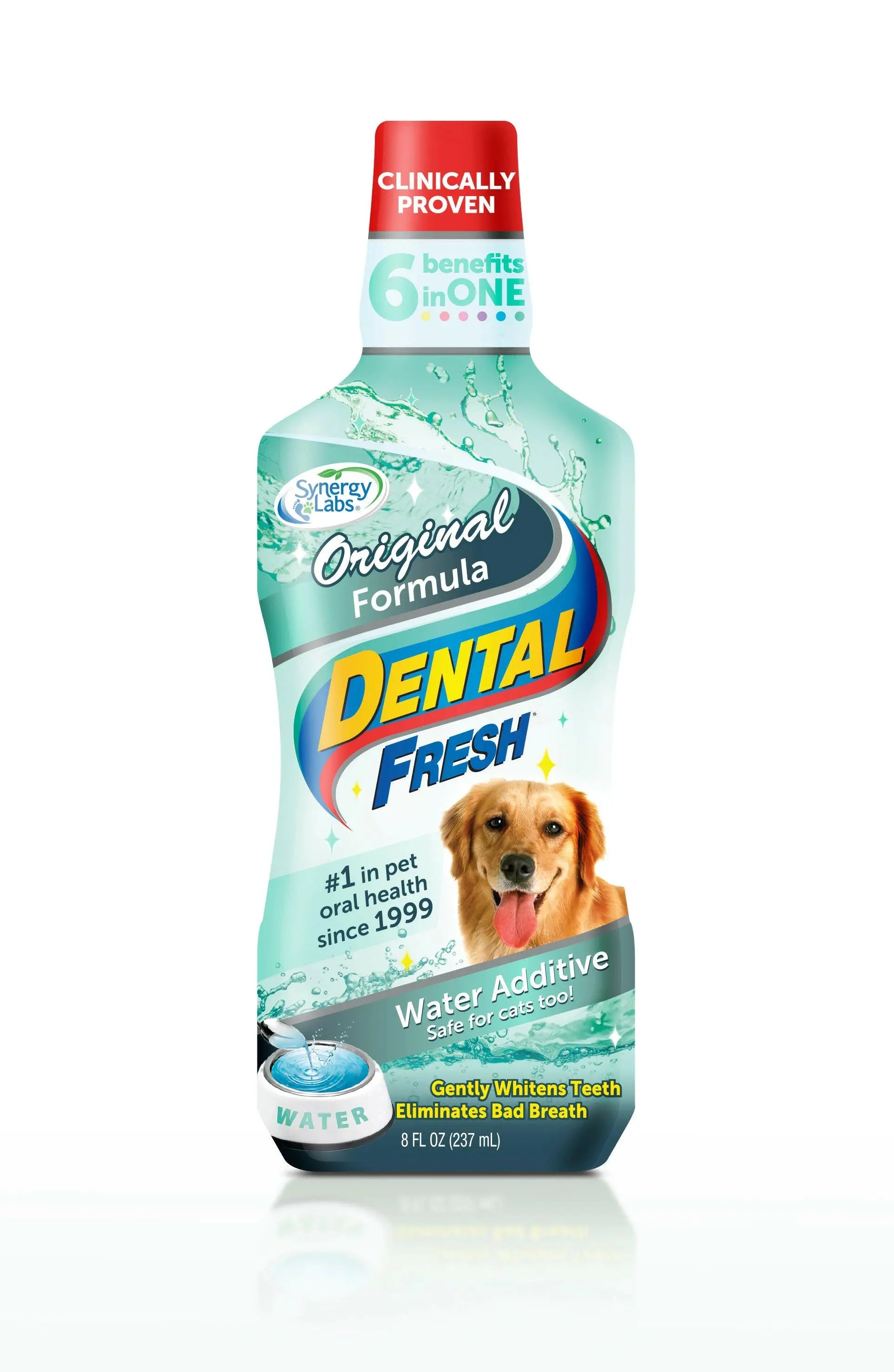 Dental Fresh.