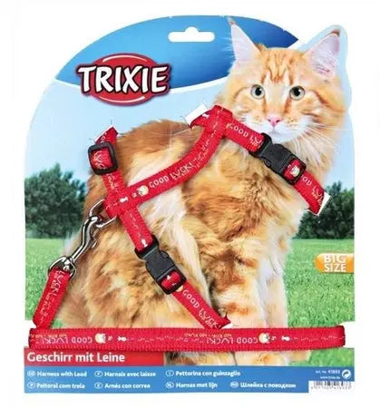 Trixie Szelki Dla Dużego Kota XL Trixie